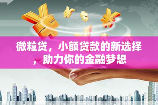 平桂微粒贷，小额贷款的新选择，助力你的金融梦想