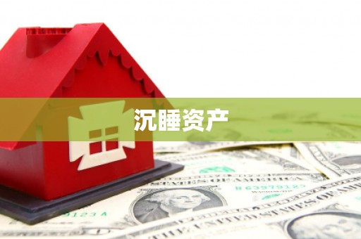 站前沉睡资产