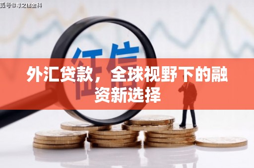宁南外汇贷款，全球视野下的融资新选择
