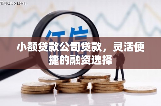 铁锋小额贷款公司贷款，灵活便捷的融资选择