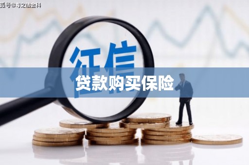 新化贷款购买保险