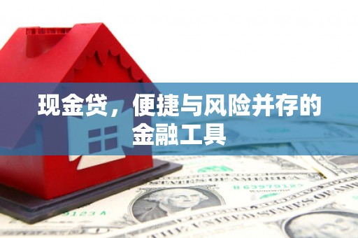 坪山新区现金贷，便捷与风险并存的金融工具