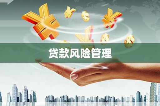 阿莲贷款风险管理