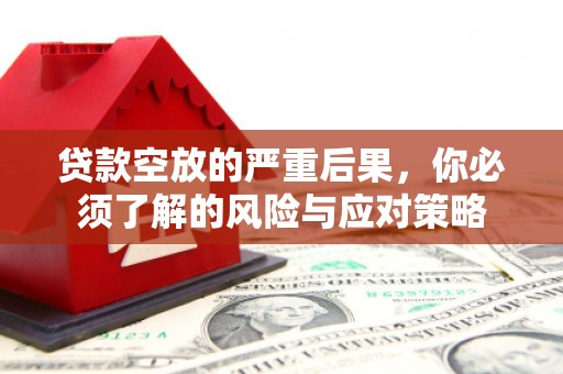 淳安贷款空放的严重后果，你必须了解的风险与应对策略