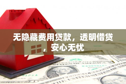 龙港无隐藏费用贷款，透明借贷，安心无忧