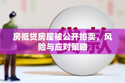 呼图壁房抵贷房屋被公开拍卖，风险与应对策略