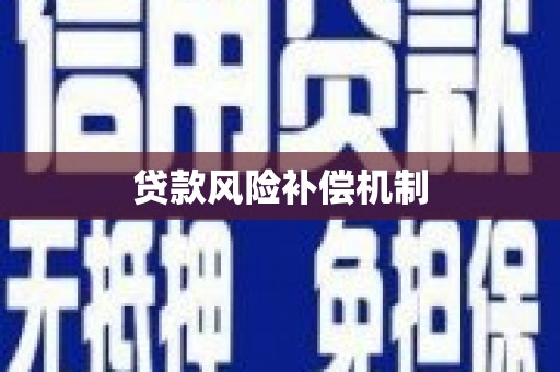 资阳贷款风险补偿机制
