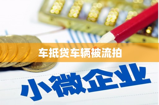 资阳车抵贷车辆被流拍