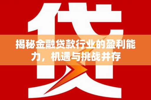 西固揭秘金融贷款行业的盈利能力，机遇与挑战并存