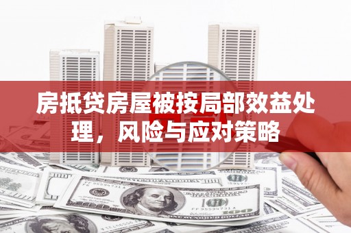 清水河房抵贷房屋被按局部效益处理，风险与应对策略
