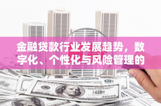 清水河金融贷款行业发展趋势，数字化、个性化与风险管理的未来
