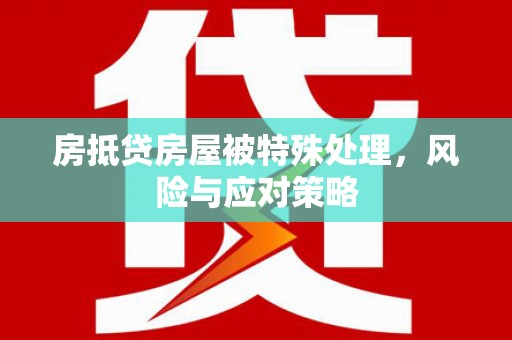 新邵房抵贷房屋被特殊处理，风险与应对策略
