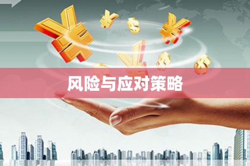 万荣风险与应对策略