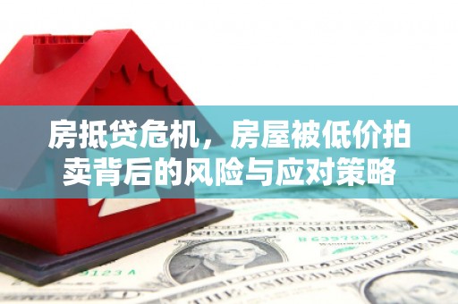 沙洋房抵贷危机，房屋被低价拍卖背后的风险与应对策略