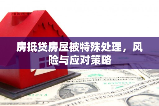 辽宁房抵贷房屋被特殊处理，风险与应对策略