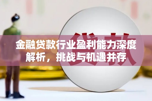 会泽金融贷款行业盈利能力深度解析，挑战与机遇并存
