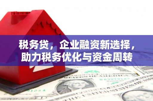 白朗税务贷，企业融资新选择，助力税务优化与资金周转