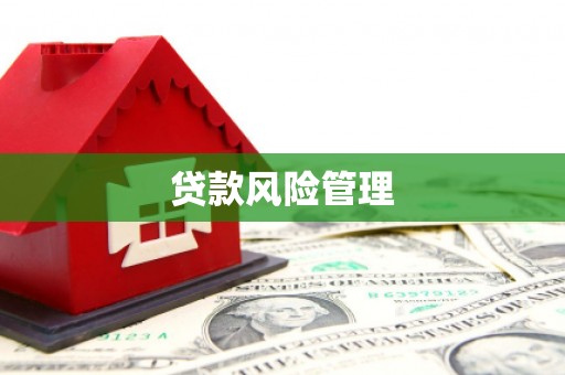 九龙坡贷款风险管理