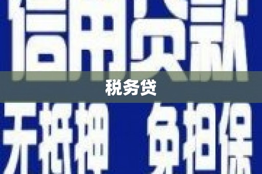 会泽税务贷