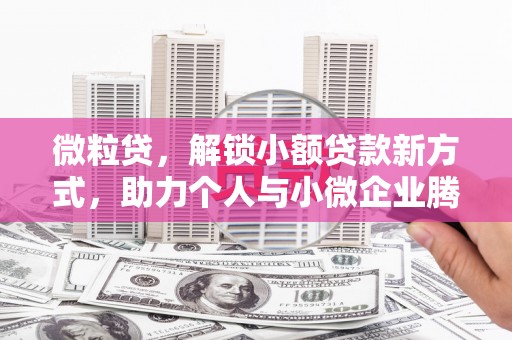会泽微粒贷，解锁小额贷款新方式，助力个人与小微企业腾飞