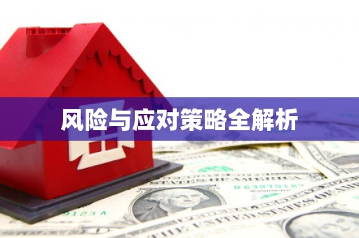 萝北风险与应对策略全解析