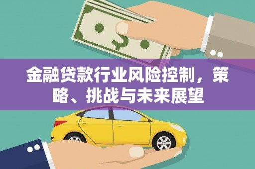 苍梧金融贷款行业风险控制，策略、挑战与未来展望