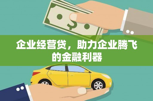 洛扎企业经营贷，助力企业腾飞的金融利器