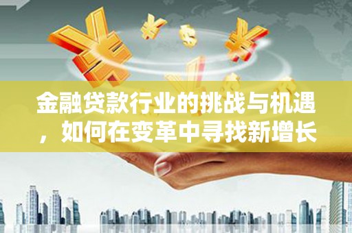 门源金融贷款行业的挑战与机遇，如何在变革中寻找新增长点