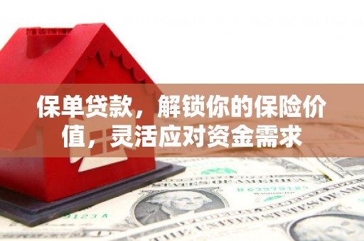 阜阳保单贷款，解锁你的保险价值，灵活应对资金需求