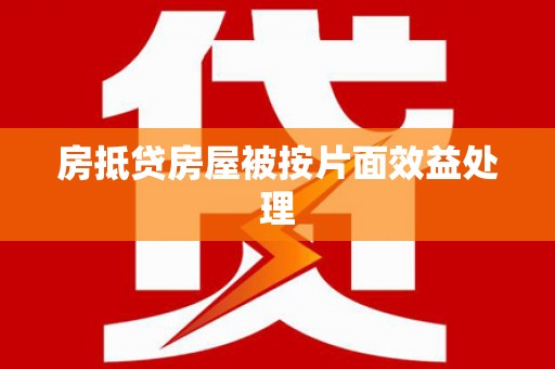 玉龙房抵贷房屋被按片面效益处理