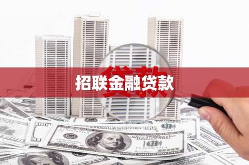 隆阳招联金融贷款