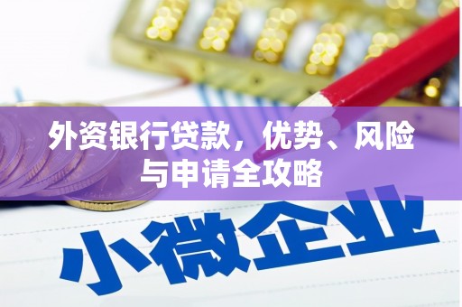 隆阳外资银行贷款，优势、风险与申请全攻略