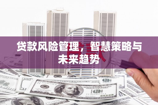 清涧贷款风险管理，智慧策略与未来趋势