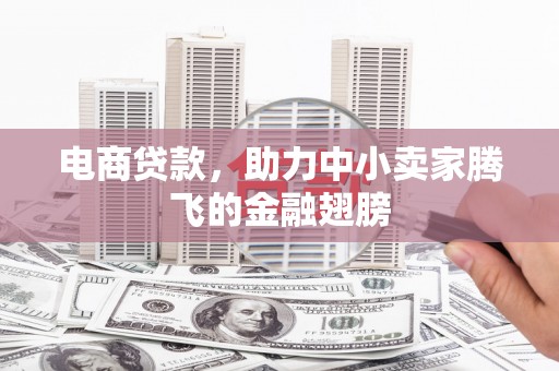景县电商贷款，助力中小卖家腾飞的金融翅膀
