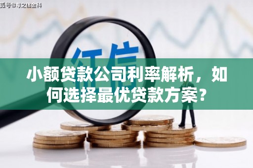 安达小额贷款公司利率解析，如何选择最优贷款方案？