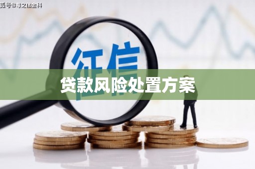 平远贷款风险处置方案