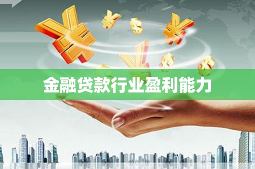 凉山金融贷款行业盈利能力