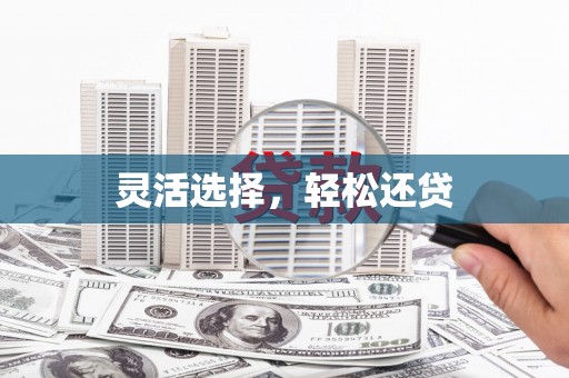 马龙灵活选择，轻松还贷