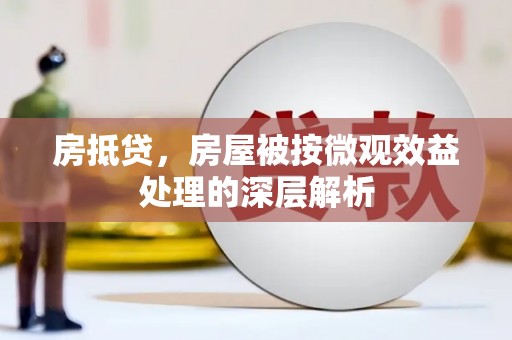 信义房抵贷，房屋被按微观效益处理的深层解析