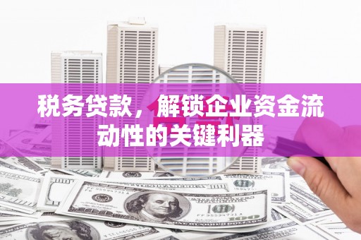 佳冬税务贷款，解锁企业资金流动性的关键利器