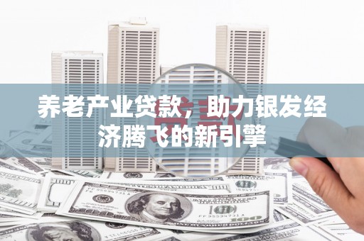 麻栗坡养老产业贷款，助力银发经济腾飞的新引擎