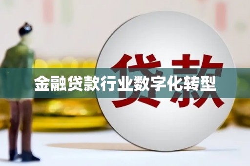 沙市金融贷款行业数字化转型
