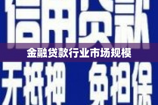 口湖金融贷款行业市场规模