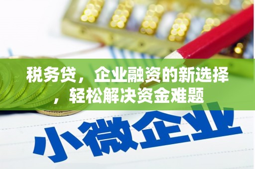 如皋税务贷，企业融资的新选择，轻松解决资金难题