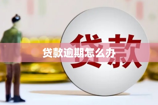 郎溪贷款逾期怎么办