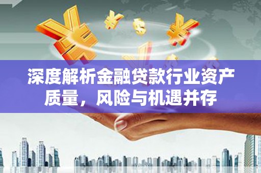 焦作深度解析金融贷款行业资产质量，风险与机遇并存