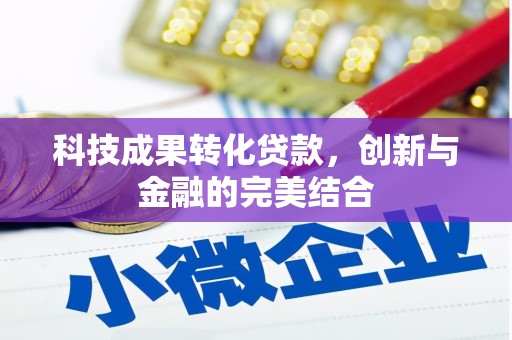 龙川科技成果转化贷款，创新与金融的完美结合