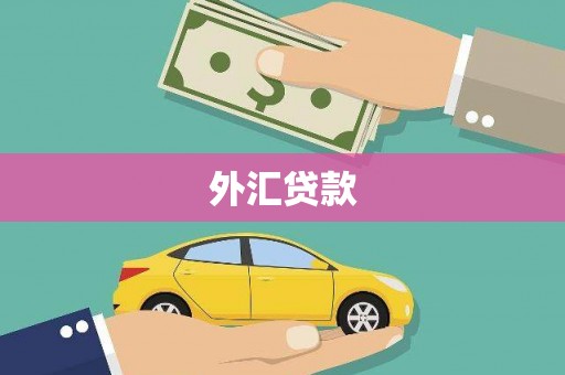 郎溪外汇贷款