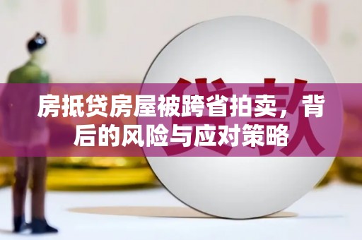 岳普湖房抵贷房屋被跨省拍卖，背后的风险与应对策略
