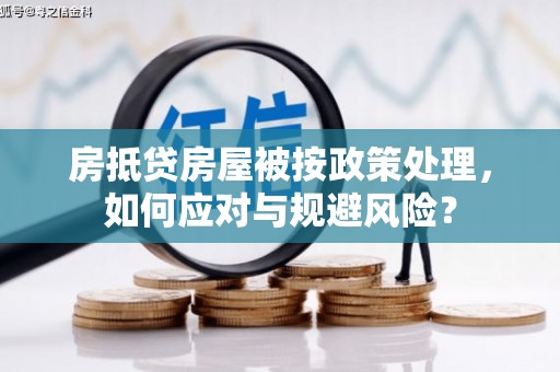 盐埕房抵贷房屋被按政策处理，如何应对与规避风险？